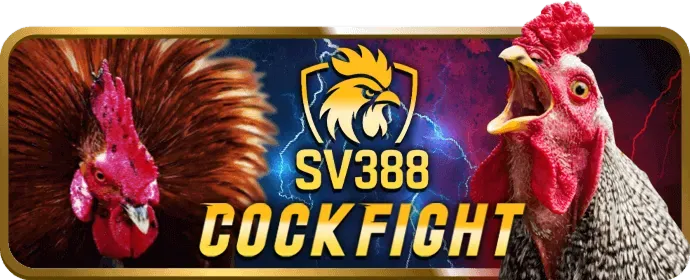 Nền tảng ev88 win an toàn